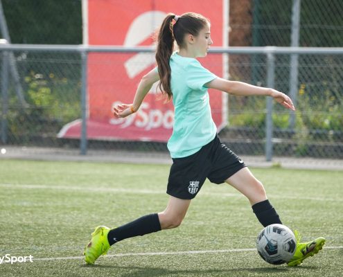 1- 7DSC03791
